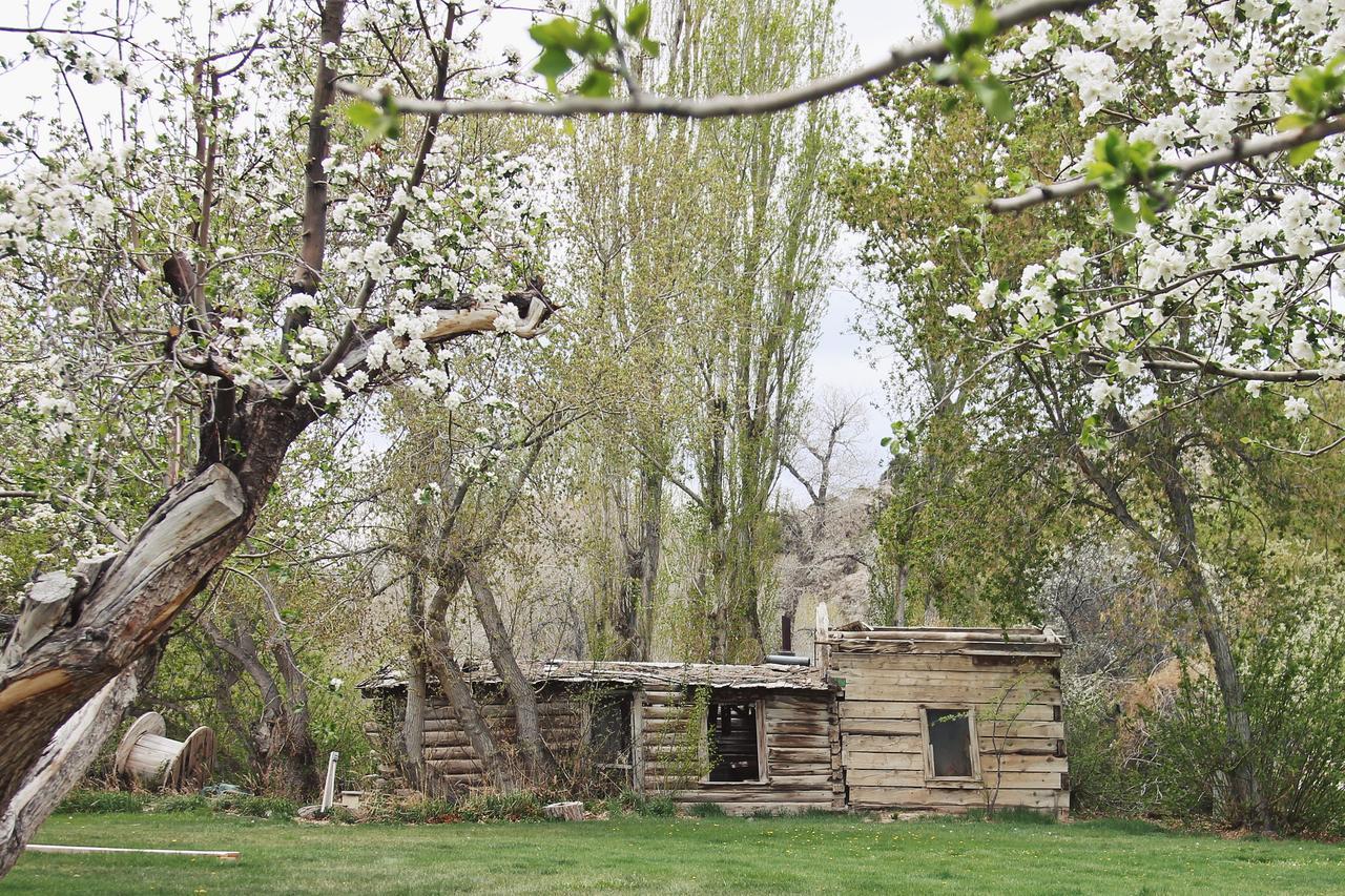 Hotel Hidden Canyon Retreat 2*
